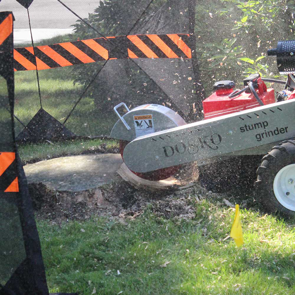 Dosko Stump Grinder (691SP-20HE) - Image 9