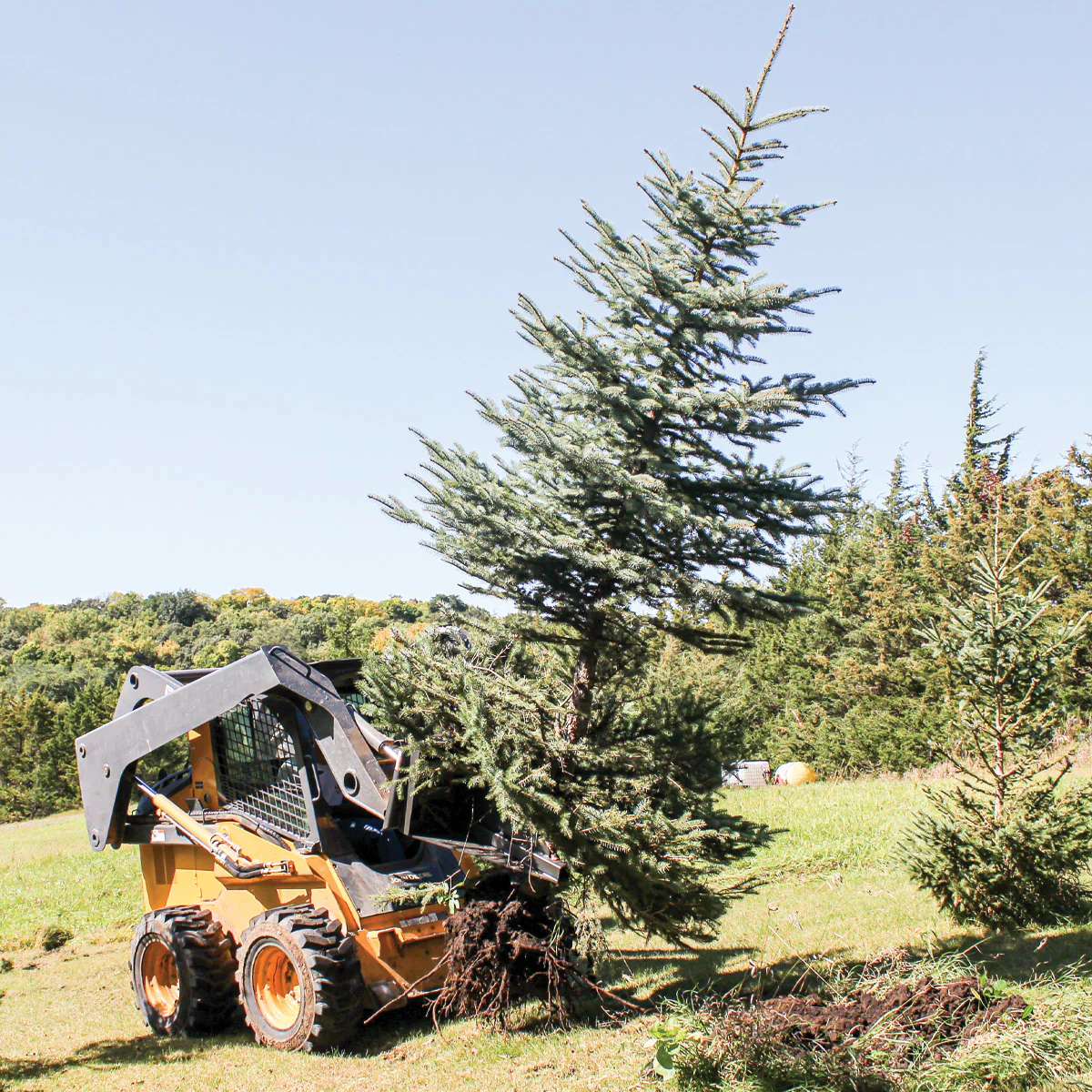Grey Wolf™ Skid Steer Tree Puller Attachment (1067) - Image 4